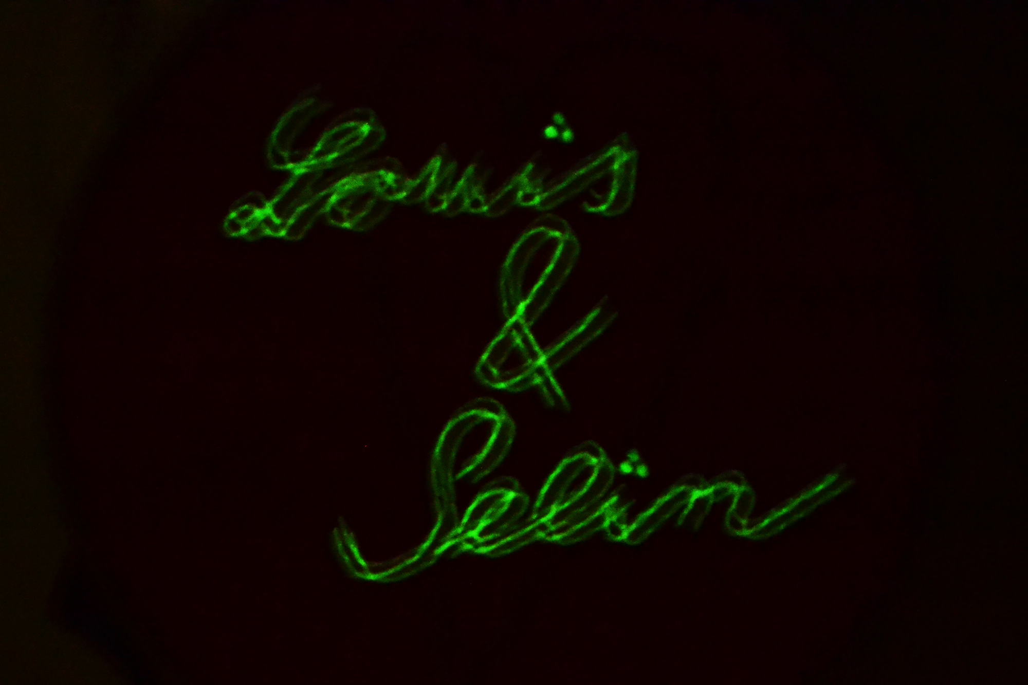 Louis&Seli glows in the dark threadn 